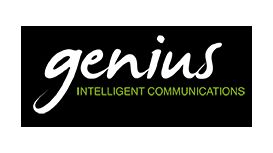 The Genius Consultancy